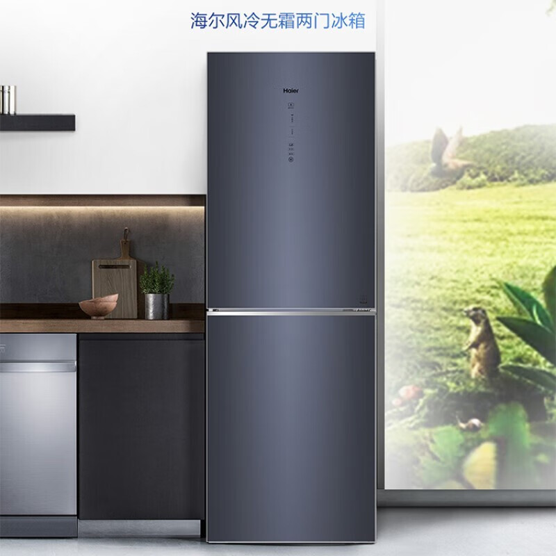 海尔冰箱风冷两门BCD-272WLHC2D0B1