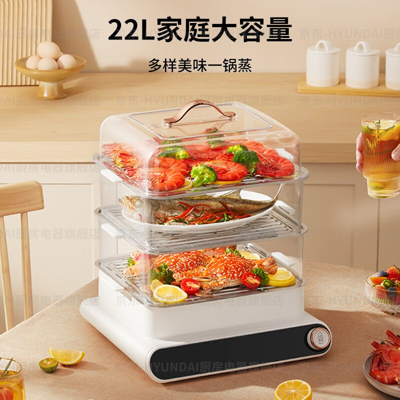 HYUNDAI多功能电蒸锅QC-DZG005