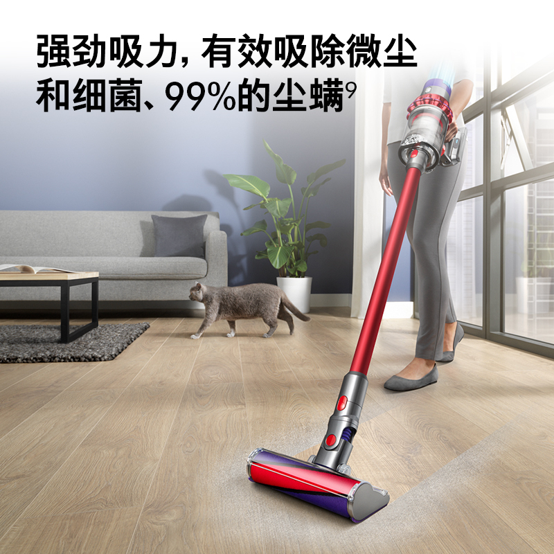 戴森(Dyson)无绳吸尘器 V10 Fluffy Extra 40分钟地面续航 家用 整机过滤 4款配件吸头