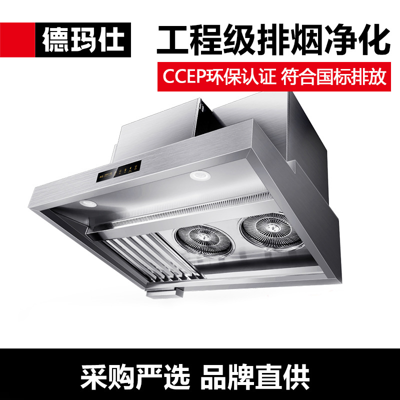 德玛仕商用饭店酒店单位厨房大吸力低空排放净化器油烟净化一体机LZY-YT-J1500